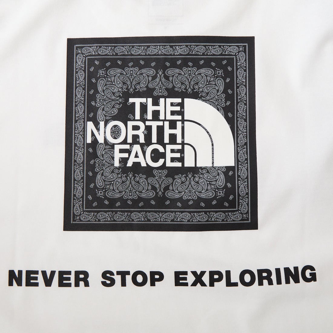 THE NORTH FACE [ザ ノースフェイス] ショートスリーブ バンダナスクエアロゴTシャツ [NT32446] W2
