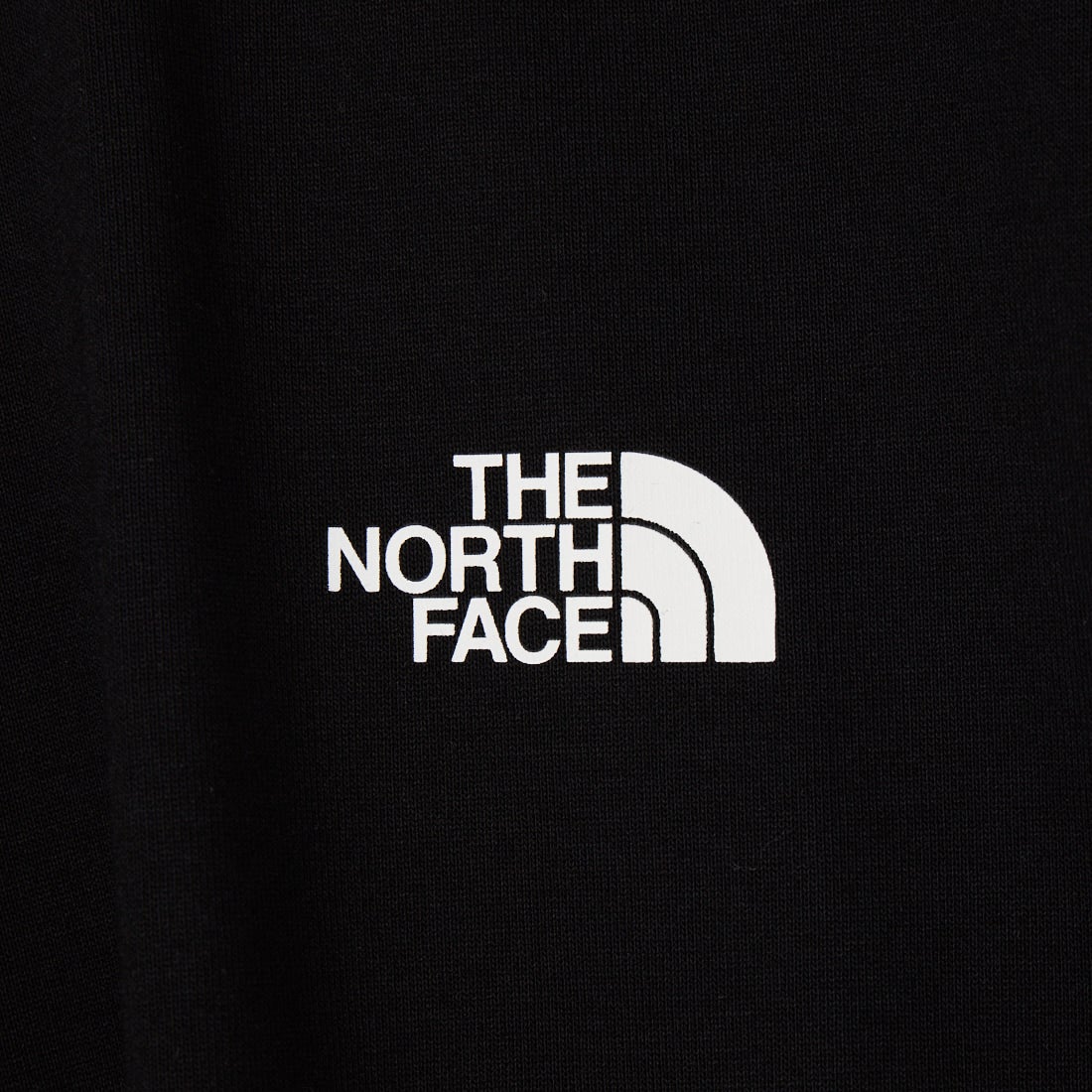 THE NORTH FACE [ザ ノースフェイス] ショートスリーブ バンダナスクエアロゴTシャツ [NT32446] K2