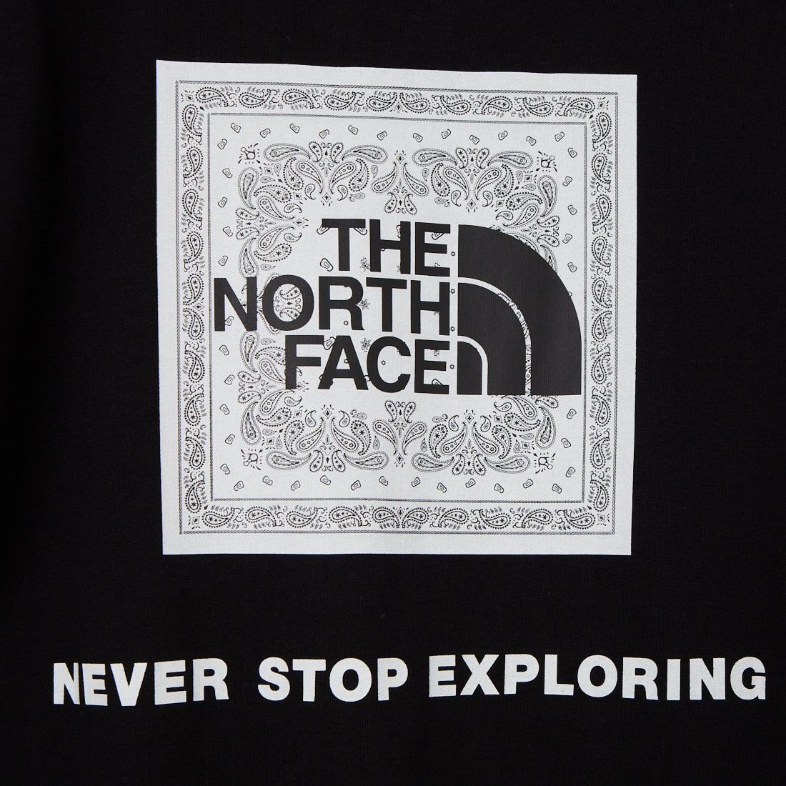 THE NORTH FACE [ザ ノースフェイス] ショートスリーブ バンダナスクエアロゴTシャツ [NT32446] K2