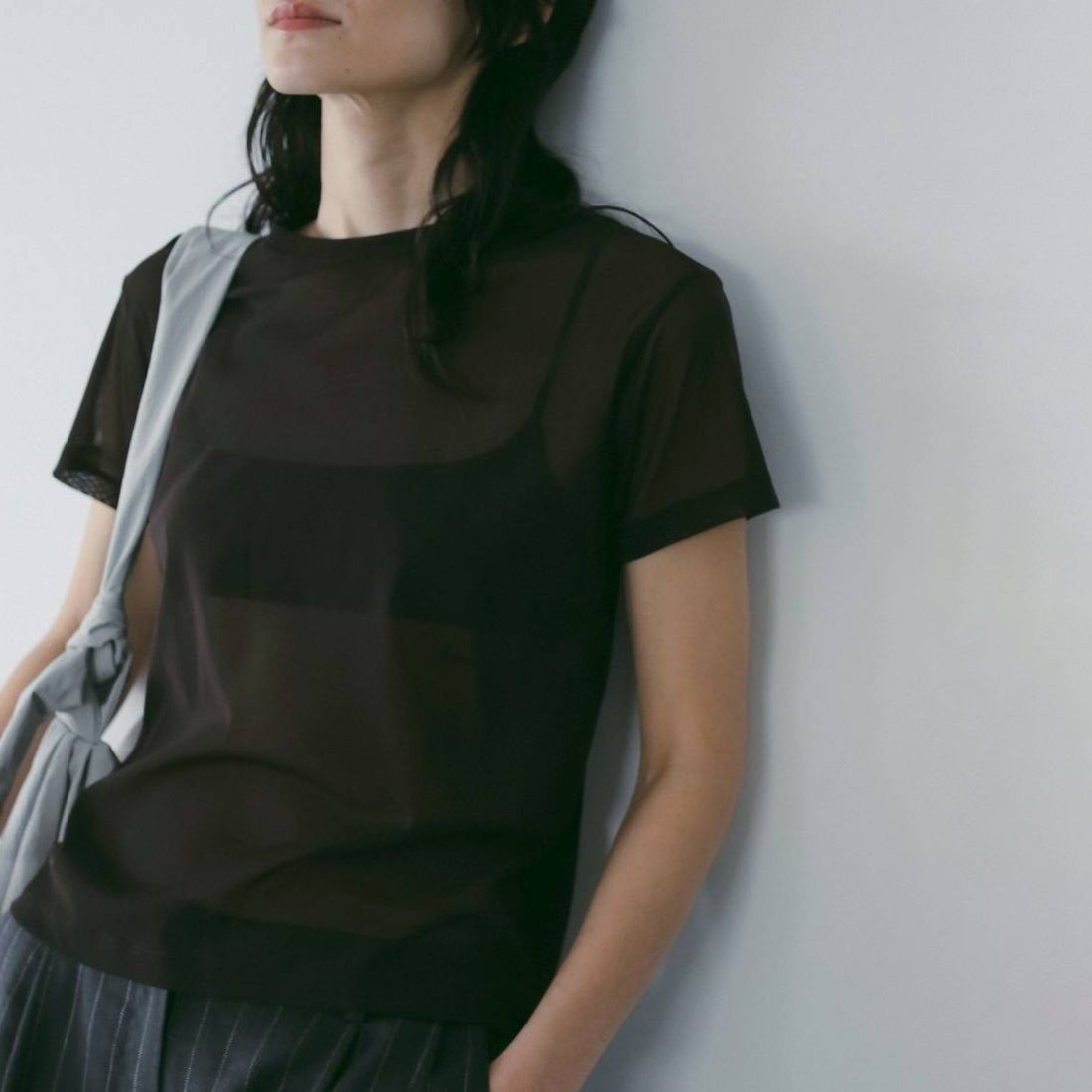 anuke [アンヌーク] シアーチュールTシャツ [62610633] BRN