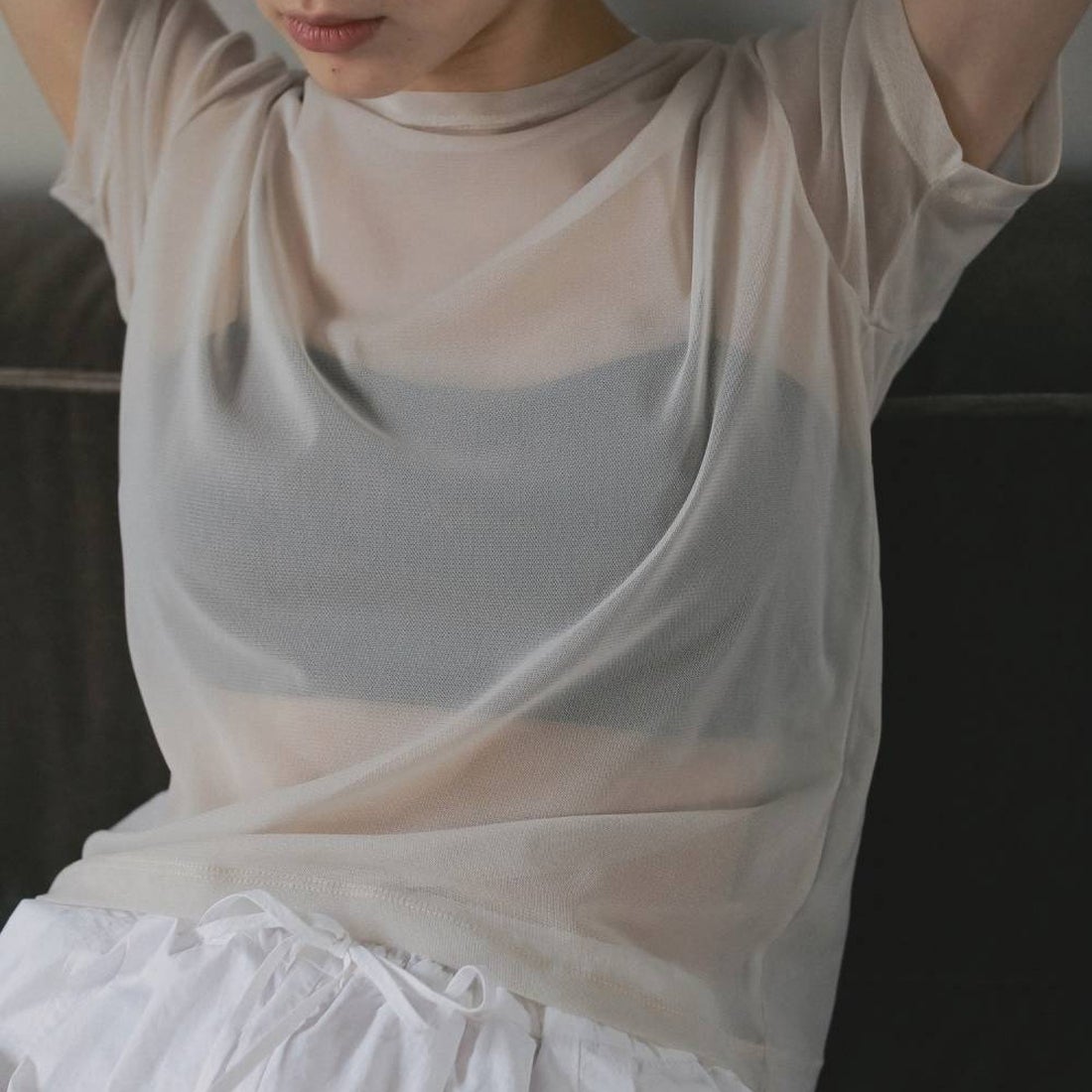 anuke [アンヌーク] シアーチュールTシャツ [62610633] IVR