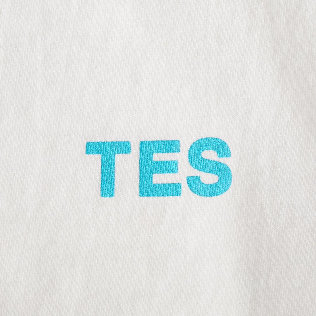 The Endless Summer [エンドレスサマー] 別注 ワンポイントBUHI刺繍ロゴ ショートスリーブTシャツ [FH-26574507-JF] WHITE