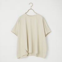 810 ﾗｲﾄｸﾞﾚ