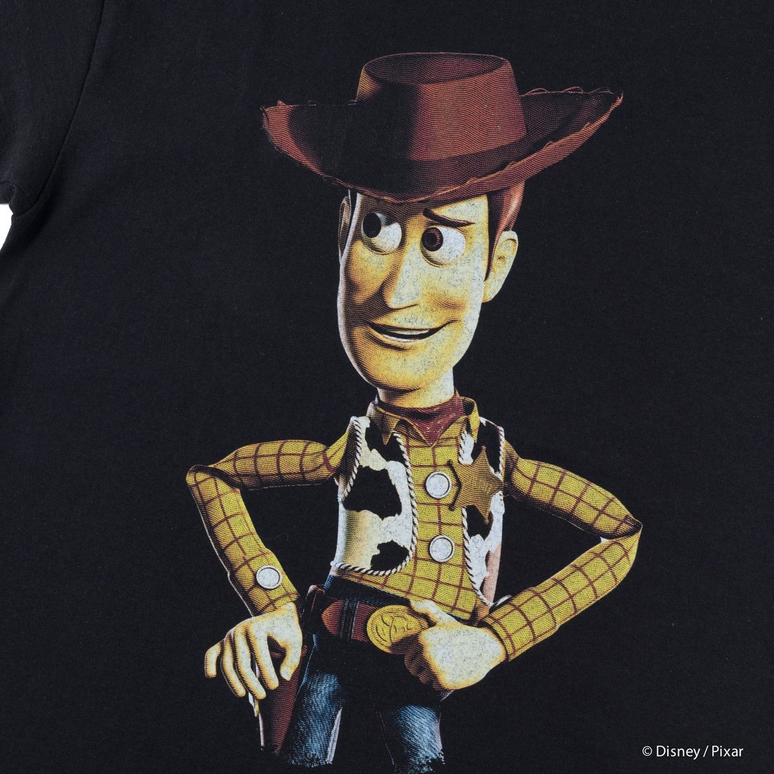 VARIEGATOR [ヴァリエゲイター] WOODY PRIDE / Tシャツ [25-TOY-MS-11] BLACK