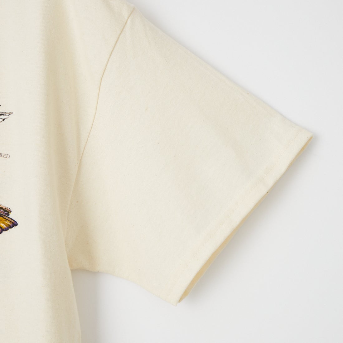 LIBERTY GRAPHICS [リバティーグラフィックス] ハミングバードプリントTシャツ [HUMMINGBIRDS] NATURAL