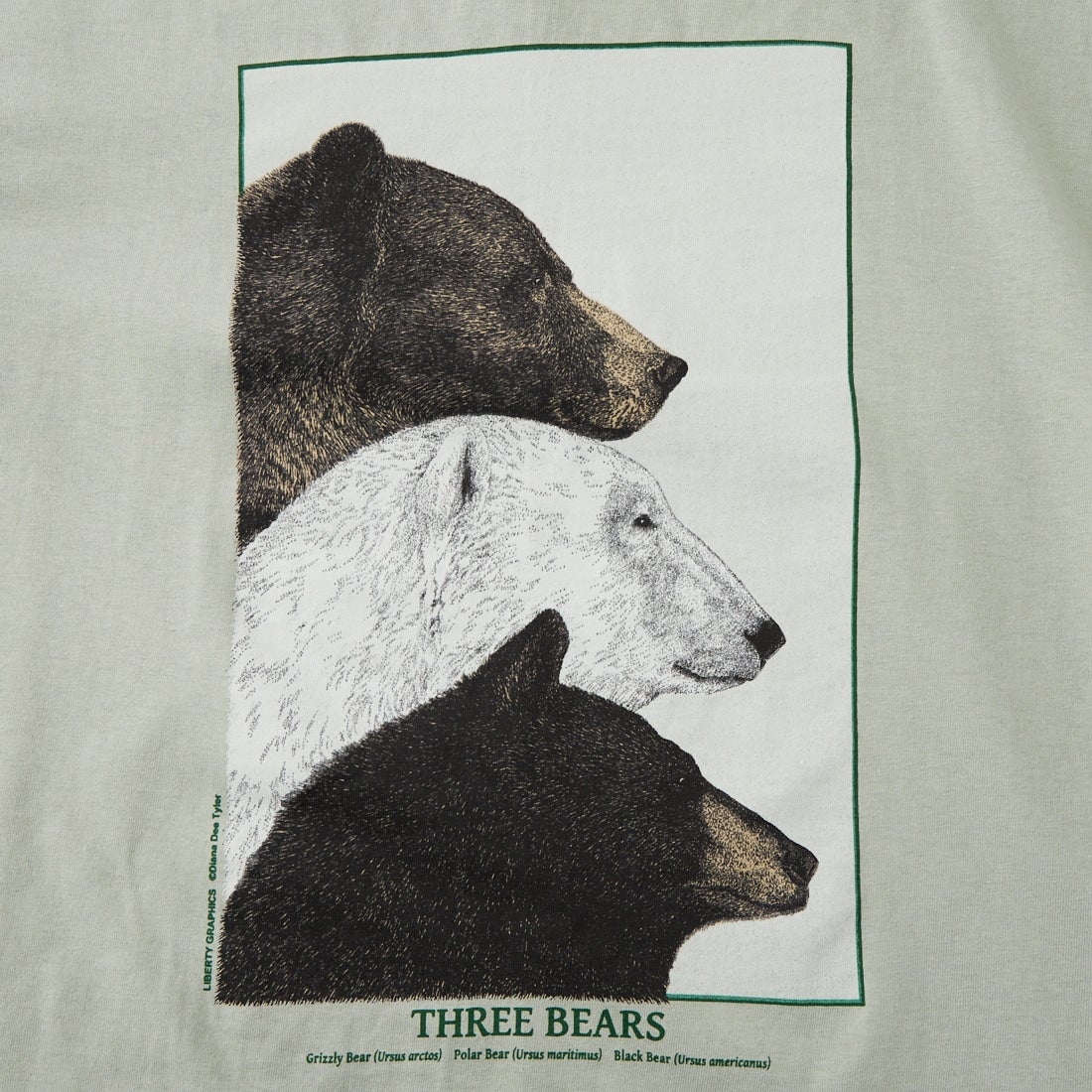 LIBERTY GRAPHICS [リバティーグラフィックス] スリーベアーズプリントTシャツ [THREE-BEARS] SAGE