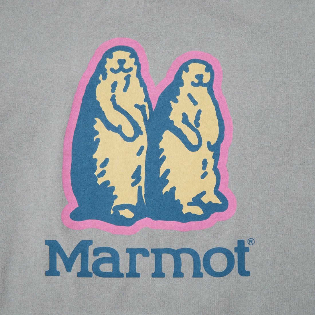 Marmot [マーモット] キッズ ザ マーモットTシャツ [MTSS26KST093] GRAY