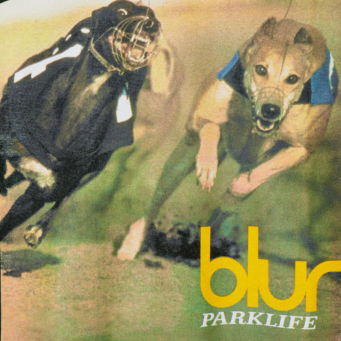 MUSIC TEE [ミュージックティー] ショートスリーブプリントTシャツ [PARKLIFE-ALUBUM] GREEN