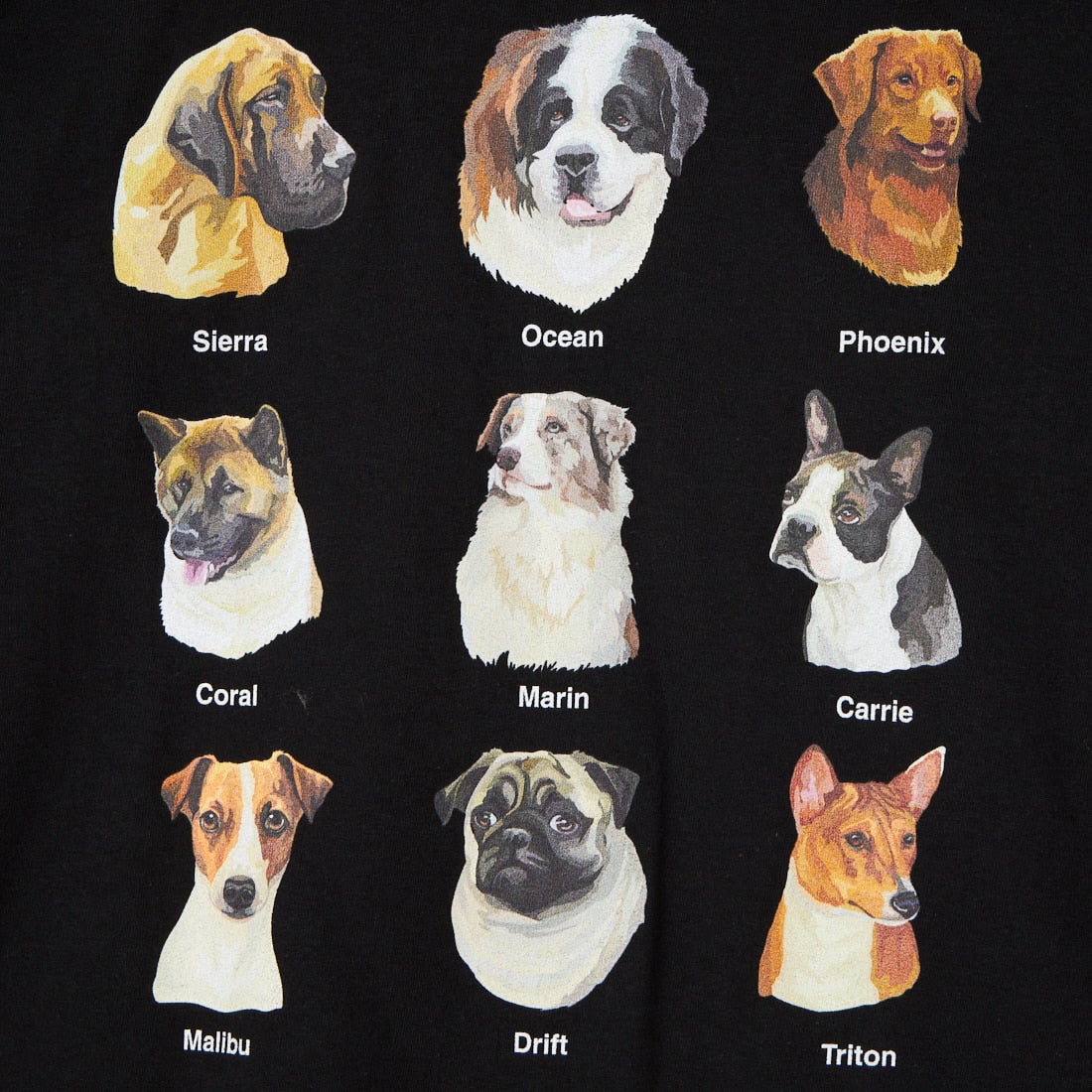 JERZEES [ジャージーズ] 9DOGS ショートスリーブTシャツ [JZ26S008] BLACK