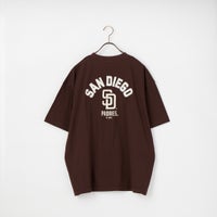BROWN SD
