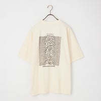 01 IVORY