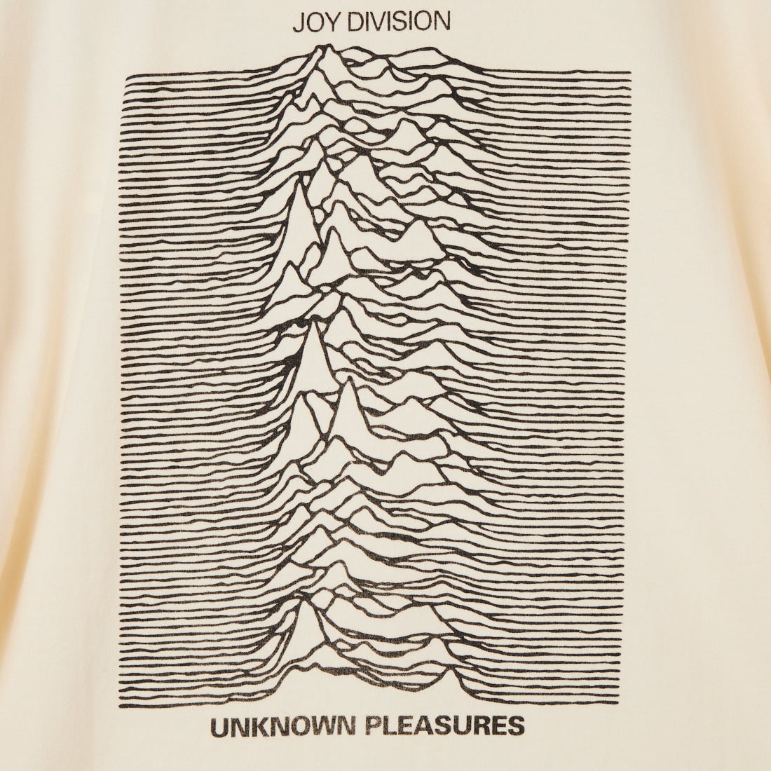 blurhms ROOTSTOCK [ブラームス ルーツストック] JD UNKNOWN PLEASURES  スタンダードプリントTシャツ [BROOTS25S33S26JD005] 01 IVORY