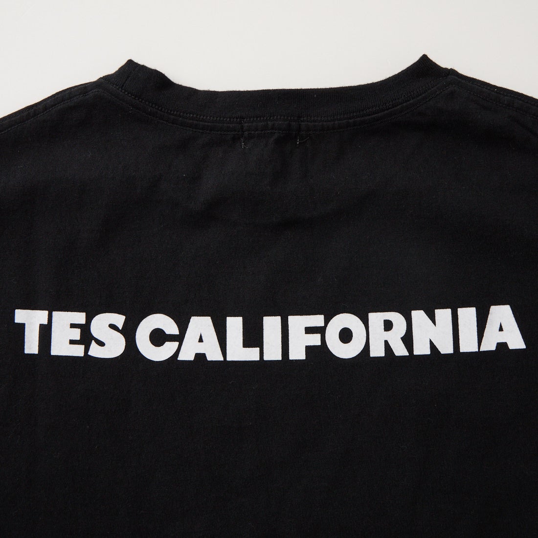 The Endless Summer [エンドレスサマー] 別注 TES CAL ワンポイントロゴ刺繍バックプリントTシャツ [FH-26574503-JF] BLACK