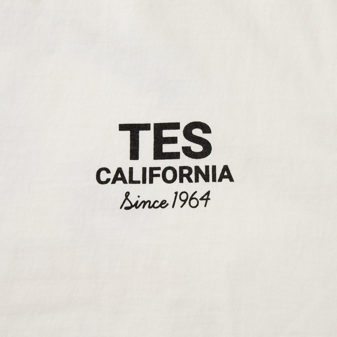 The Endless Summer [エンドレスサマー] 別注 BUHI HUNTINGTON バックプリントTシャツ [FH-26574502-JF] WHITE