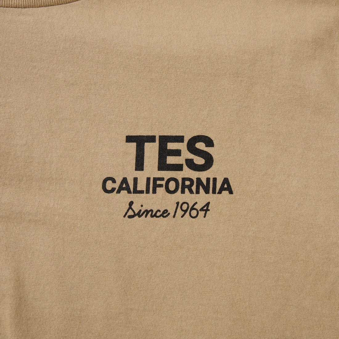 The Endless Summer [エンドレスサマー] 別注 BUHI HUNTINGTON バックプリントTシャツ [FH-26574502-JF] BEIGE