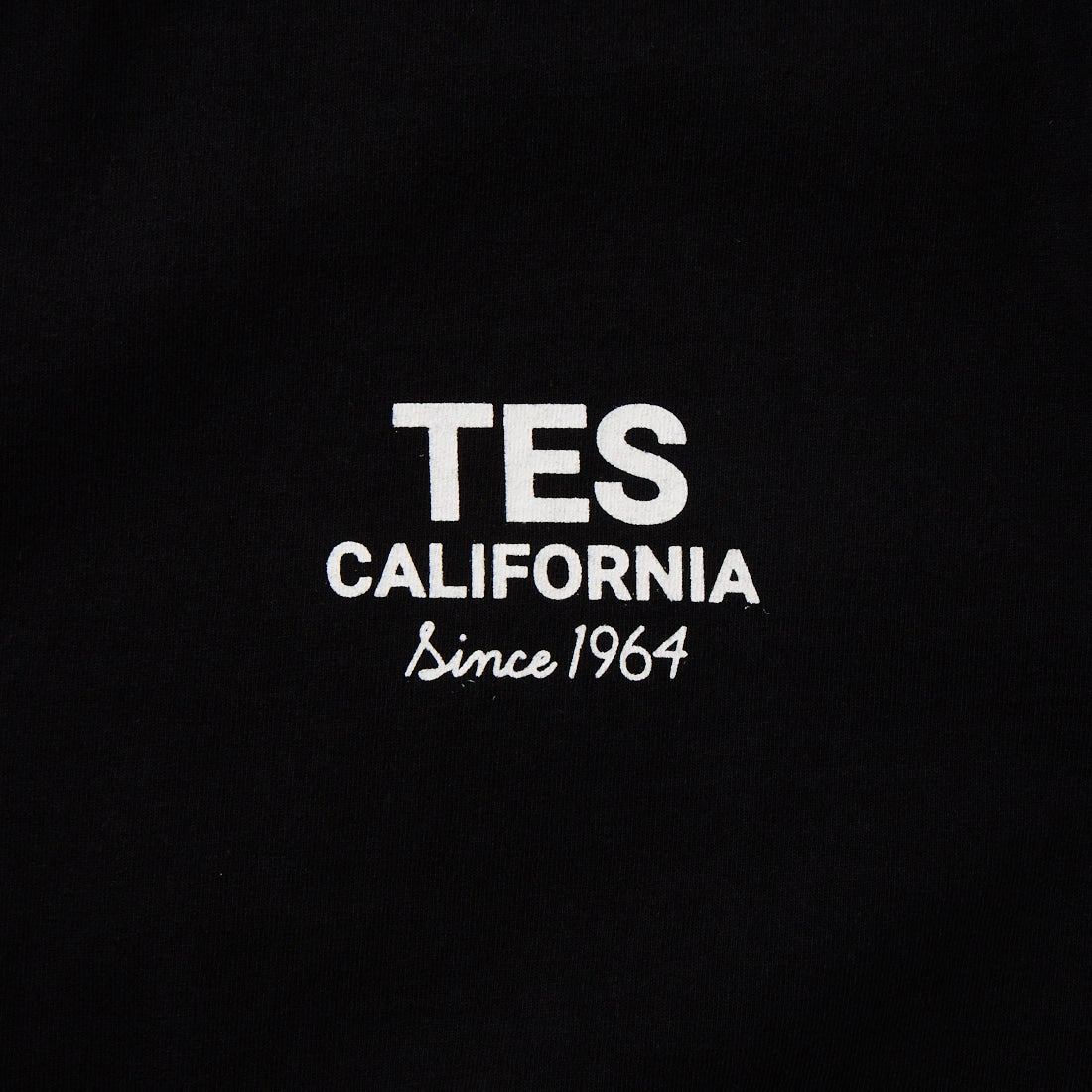 The Endless Summer [エンドレスサマー] 別注 BUHI HUNTINGTON バックプリントTシャツ [FH-26574502-JF] BLACK