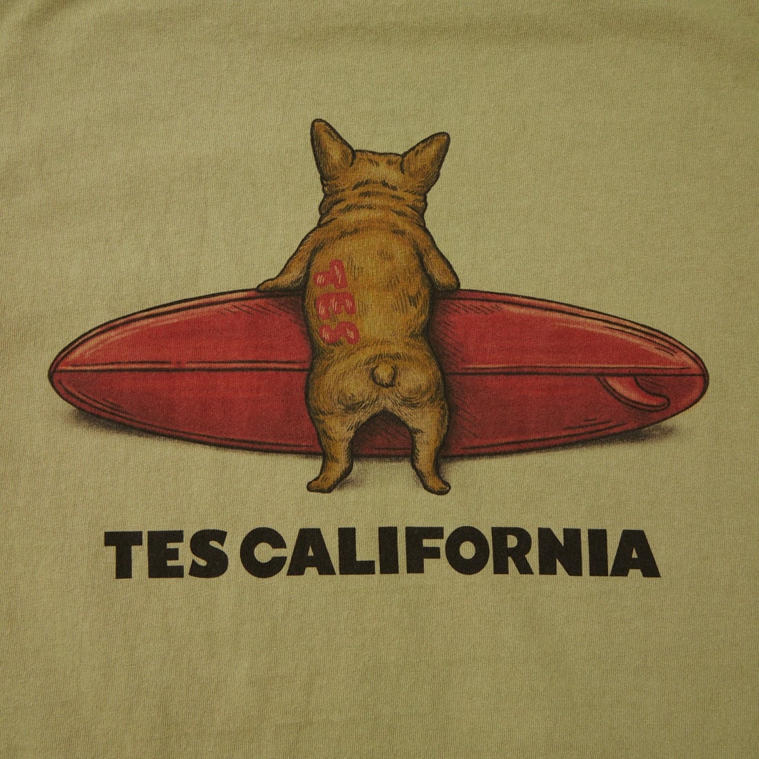The Endless Summer [エンドレスサマー] BUHI サーファーTシャツ [FH-26574345] 57 GREENGR