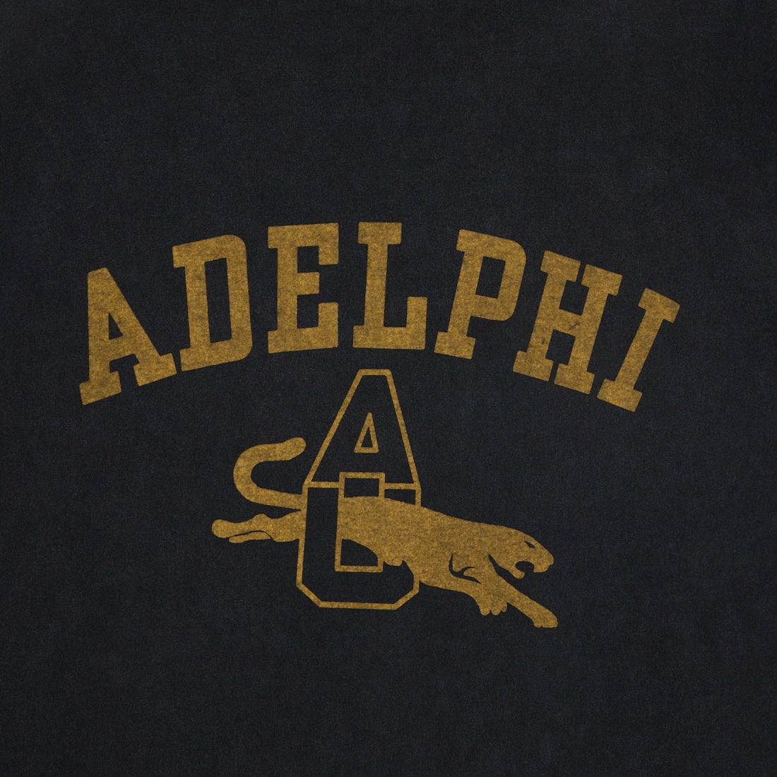 REMI RELIEF [レミレリーフ] 別注 SP加工ビッグプリントTシャツ ADELPHI [RN30389141-JF] BLACK