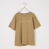 28 BROWN