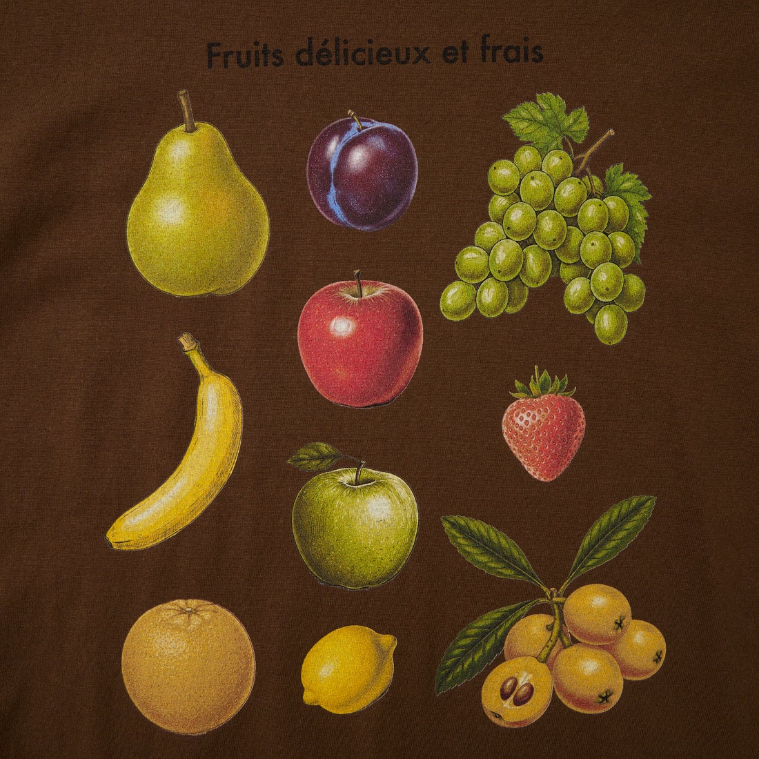 REGENCY WORKS [リージェンシーワークス] FRUIT クルーネックTシャツ [500101F-1] DARK BROWN