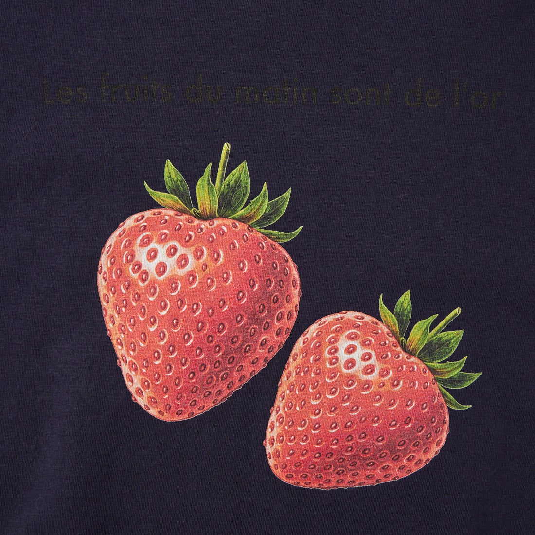 REGENCY WORKS [リージェンシーワークス] STRAWBERRY クルーネックTシャツ [500101F-2] NAVY