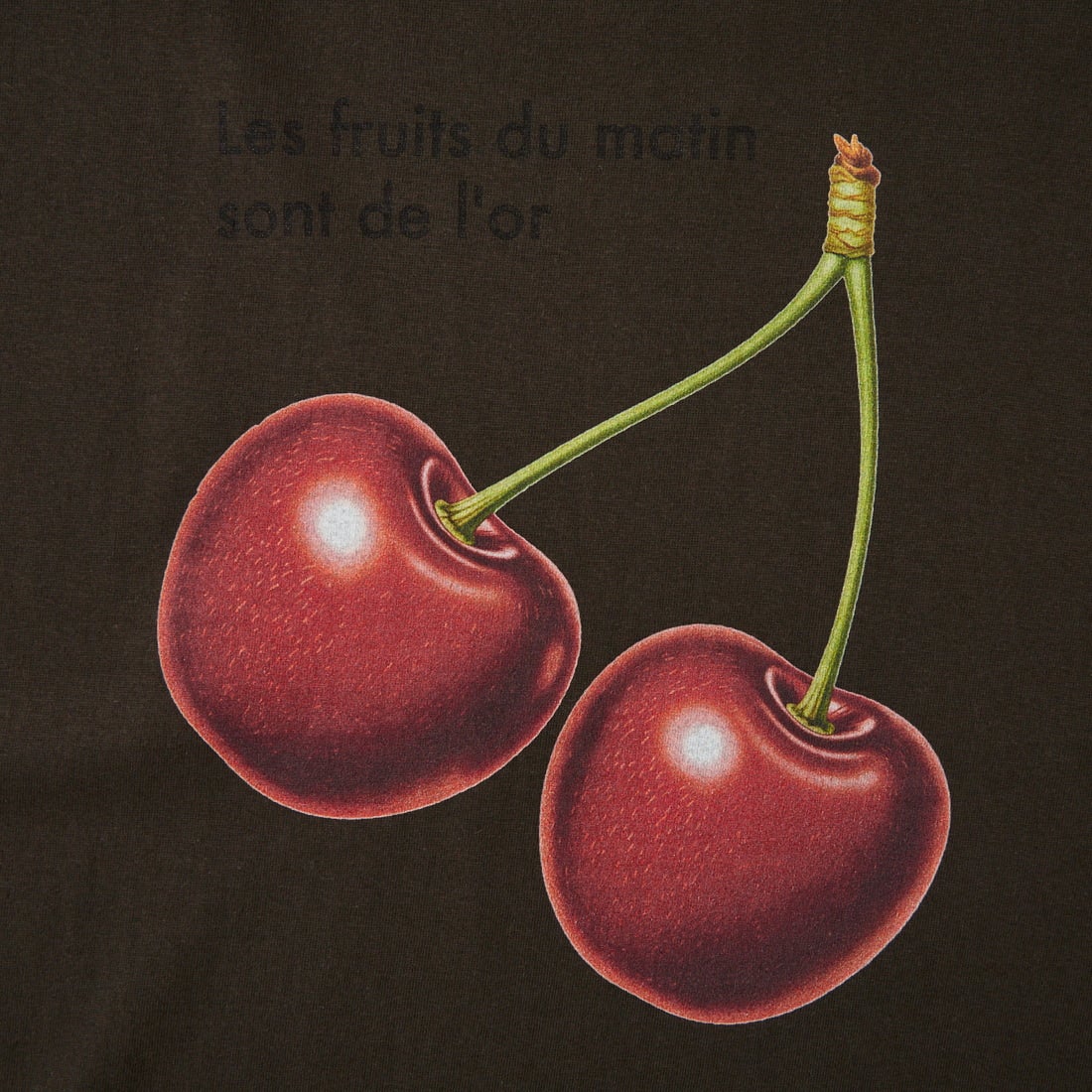 REGENCY WORKS [リージェンシーワークス] CHERRY クルーネックTシャツ [500101F-3] SUMI