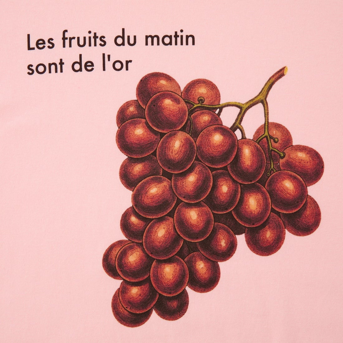 REGENCY WORKS [リージェンシーワークス] GRAPES クルーネックTシャツ [500101F-5] BABY PINK
