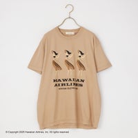 LT.BEIGE