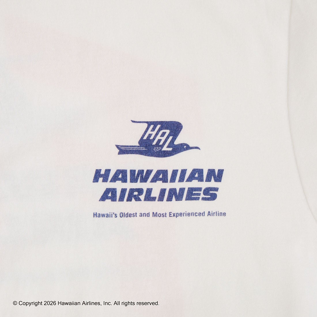 GOOD ROCK SPEED [グッドロックスピード] Fly プリントTシャツ [26HWA005W] WHITE