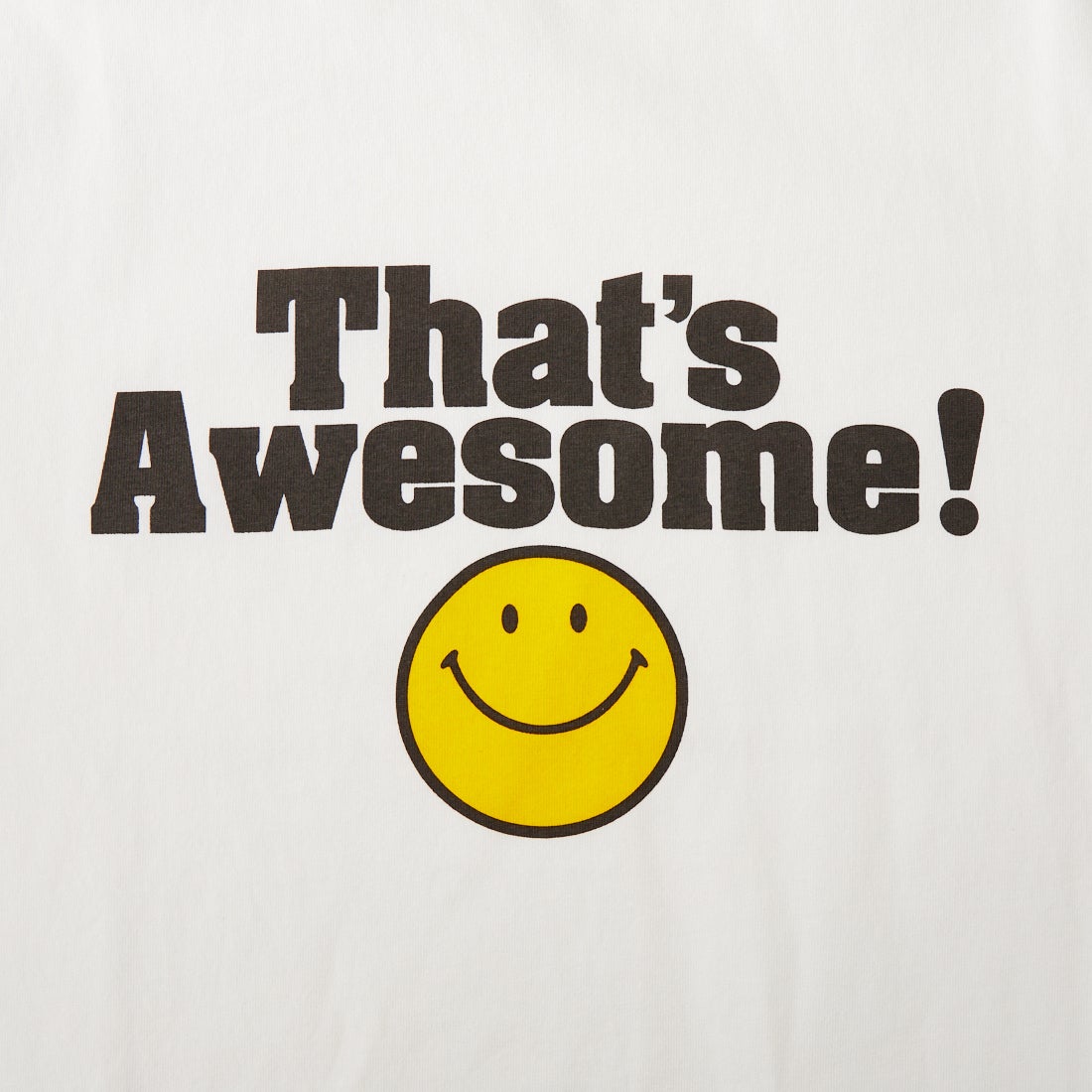HANDTEX [ハンドテックス] 別注 アソート柄 スーベニアプリントTシャツ [HT15-CST-IN6-JF] O.WHT3 SMI