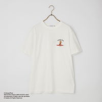 WHT-3