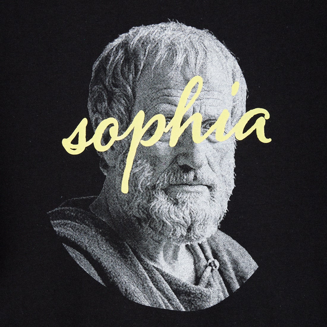 SCREEN STARS [スクリーンスターズ] 別注 偉人プリントTシャツ [26SS-SSBTGRIN-JF] BLACK