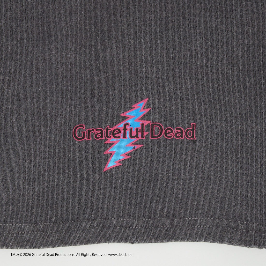 REPLICaRT [レプリカート] DANCING BEARS ショートスリーブTシャツ [RP-GD-003] CHA