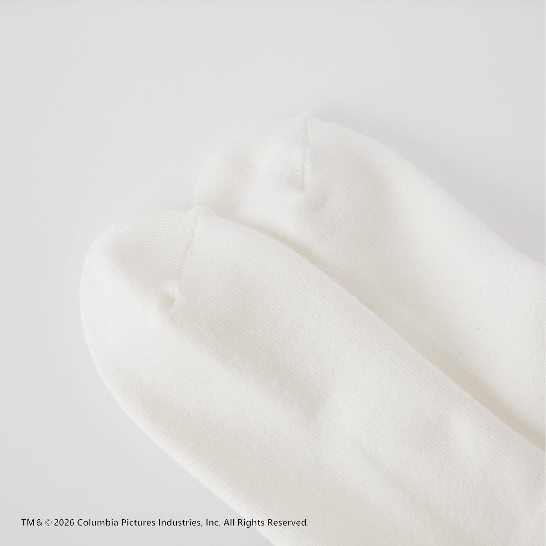 Jeans Factory Clothes [ジーンズファクトリークローズ] STAND BY ME / 40th ANNVERSARY ラインソックス [80180200] 70 ﾌﾞﾗｳﾝ