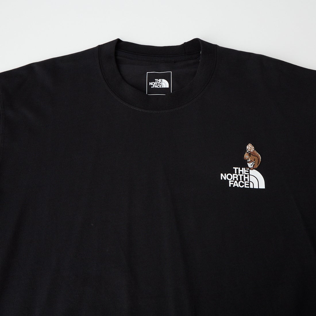 THE NORTH FACE [ザ ノースフェイス] ロングスリーブフラッシュドライズーピッカーティー [NT82645] K