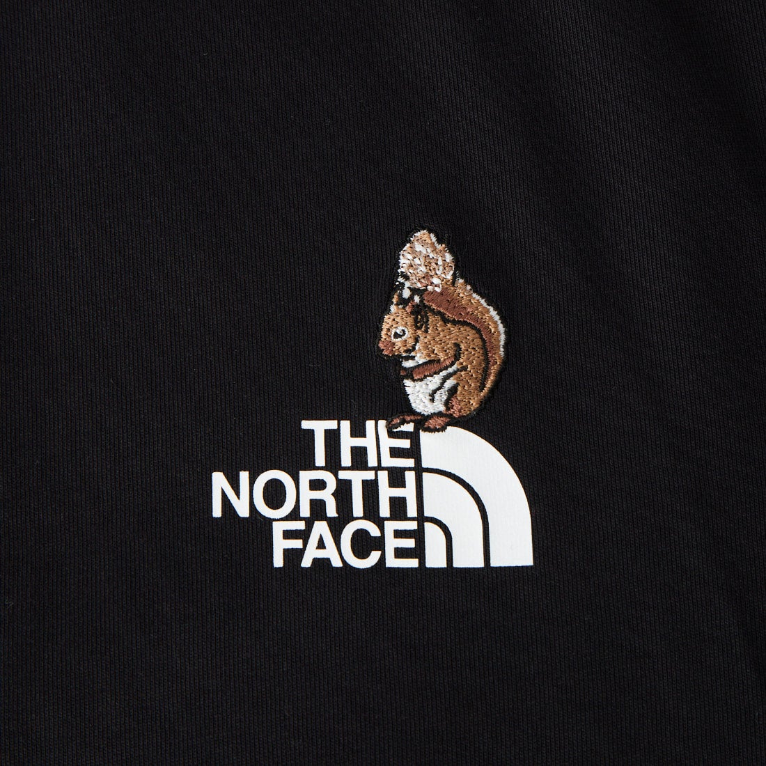 THE NORTH FACE [ザ ノースフェイス] ロングスリーブフラッシュドライズーピッカーティー [NT82645] K