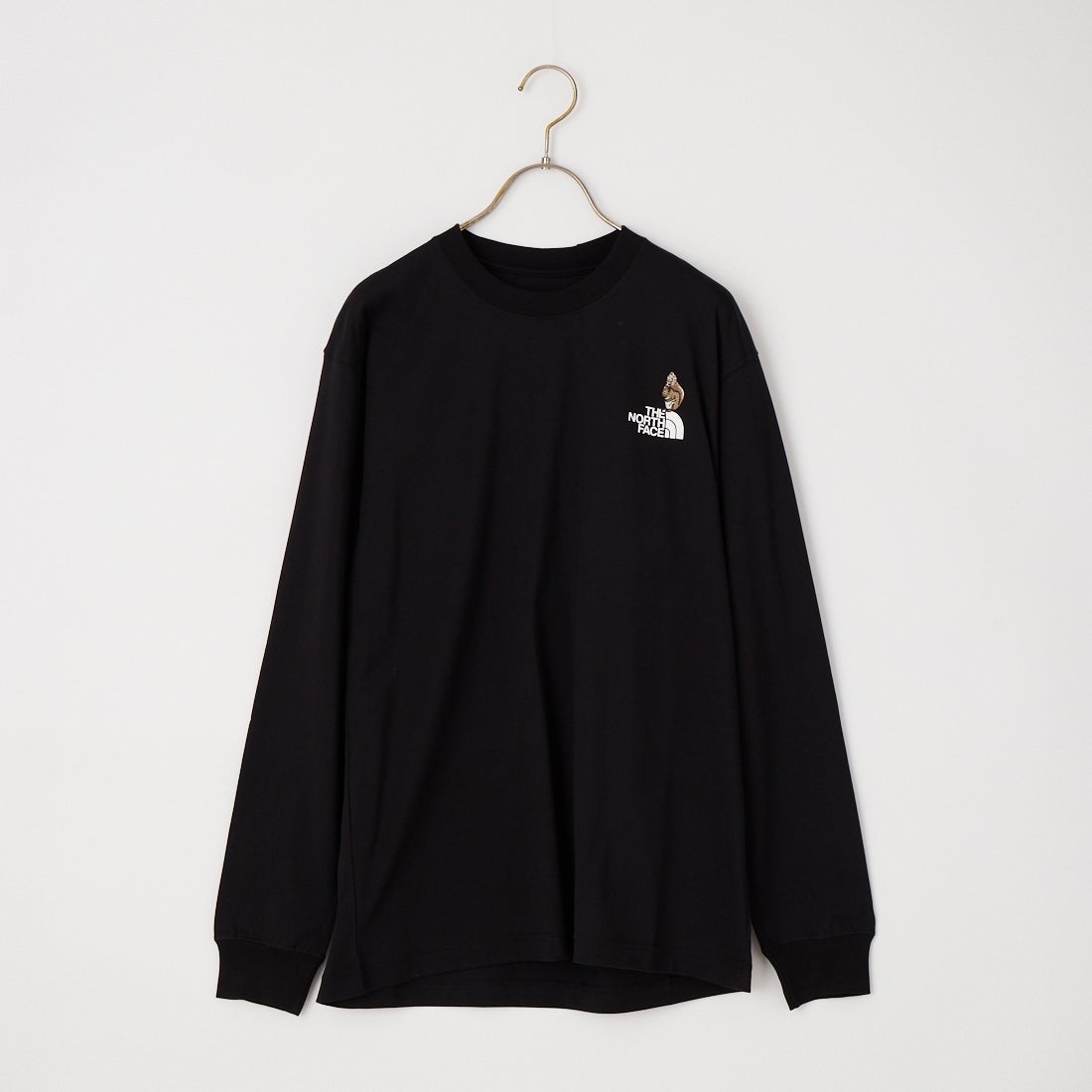 THE NORTH FACE [ザ ノースフェイス] ロングスリーブフラッシュドライズーピッカーティー [NT82645] K