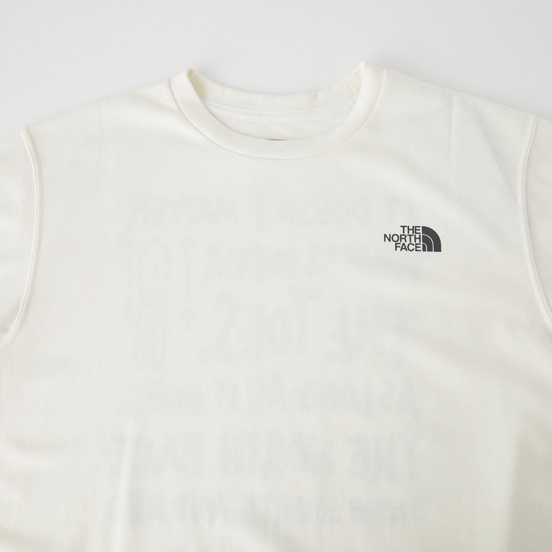 THE NORTH FACE [ザ ノースフェイス] ロングスリーブスノーレッククルー [NT82690] OW