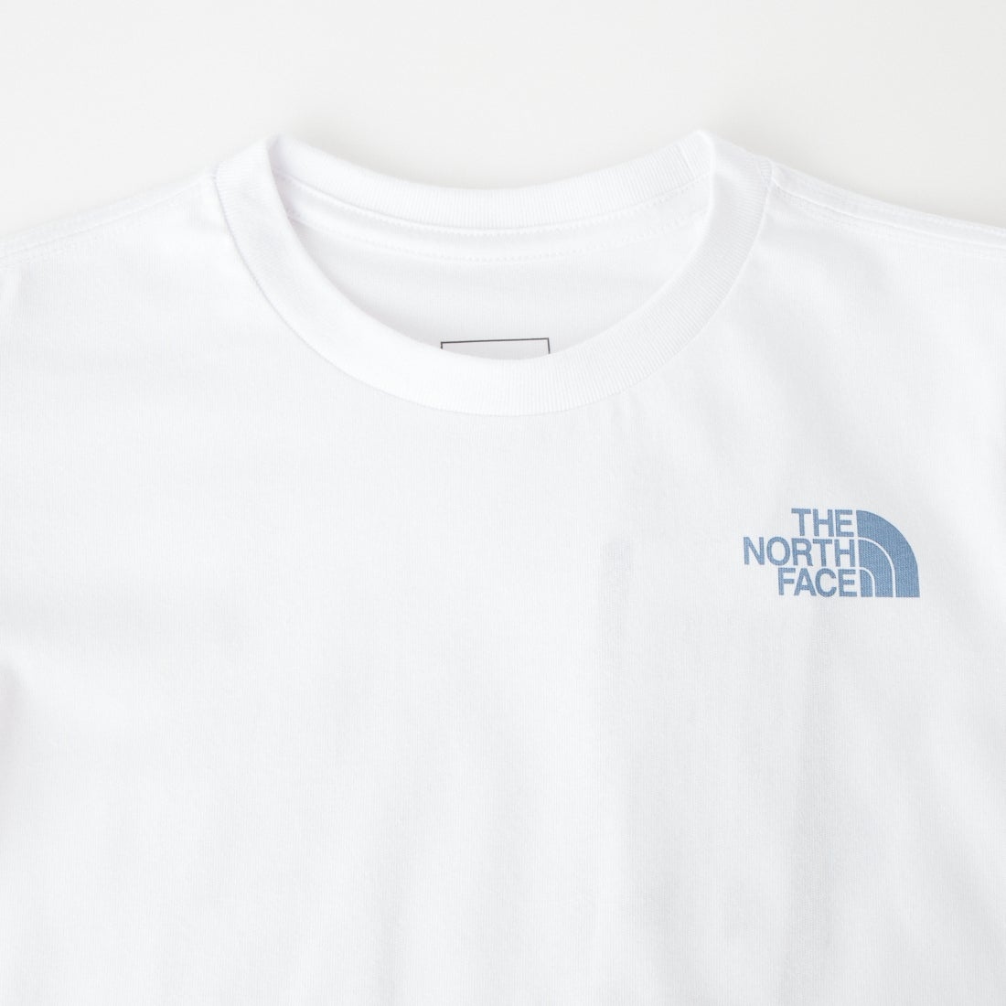 THE NORTH FACE [ザ ノースフェイス] ロングスリーブシレトコトコティー (キッズ/トドラー) [NTT82630ST] W