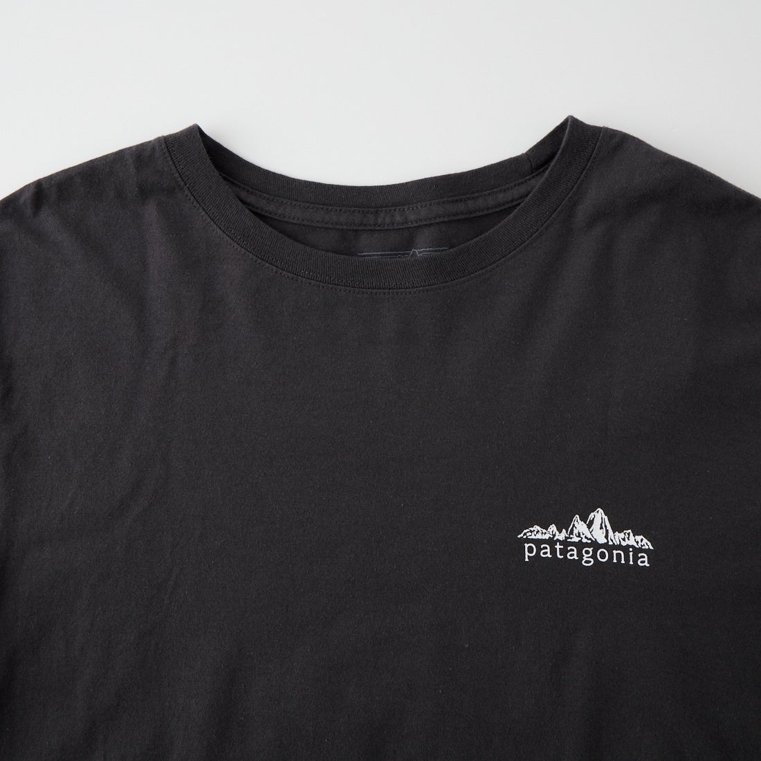 patagonia [パタゴニア] メンズ ロングスリーブ フィッツロイ フットヒルズTシャツ [37893] INBK