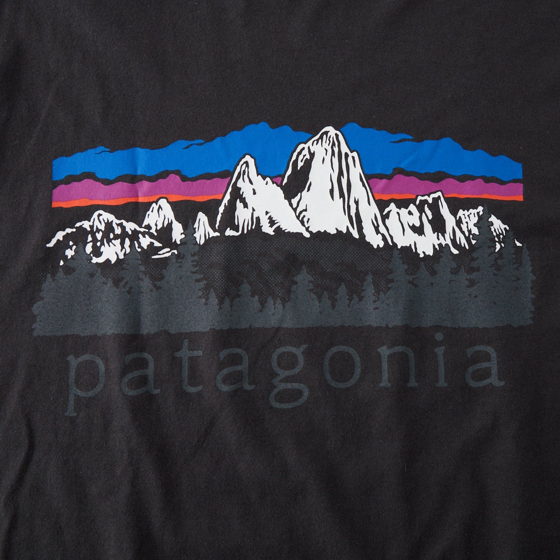 patagonia [パタゴニア] メンズ ロングスリーブ フィッツロイ フットヒルズTシャツ [37893] INBK
