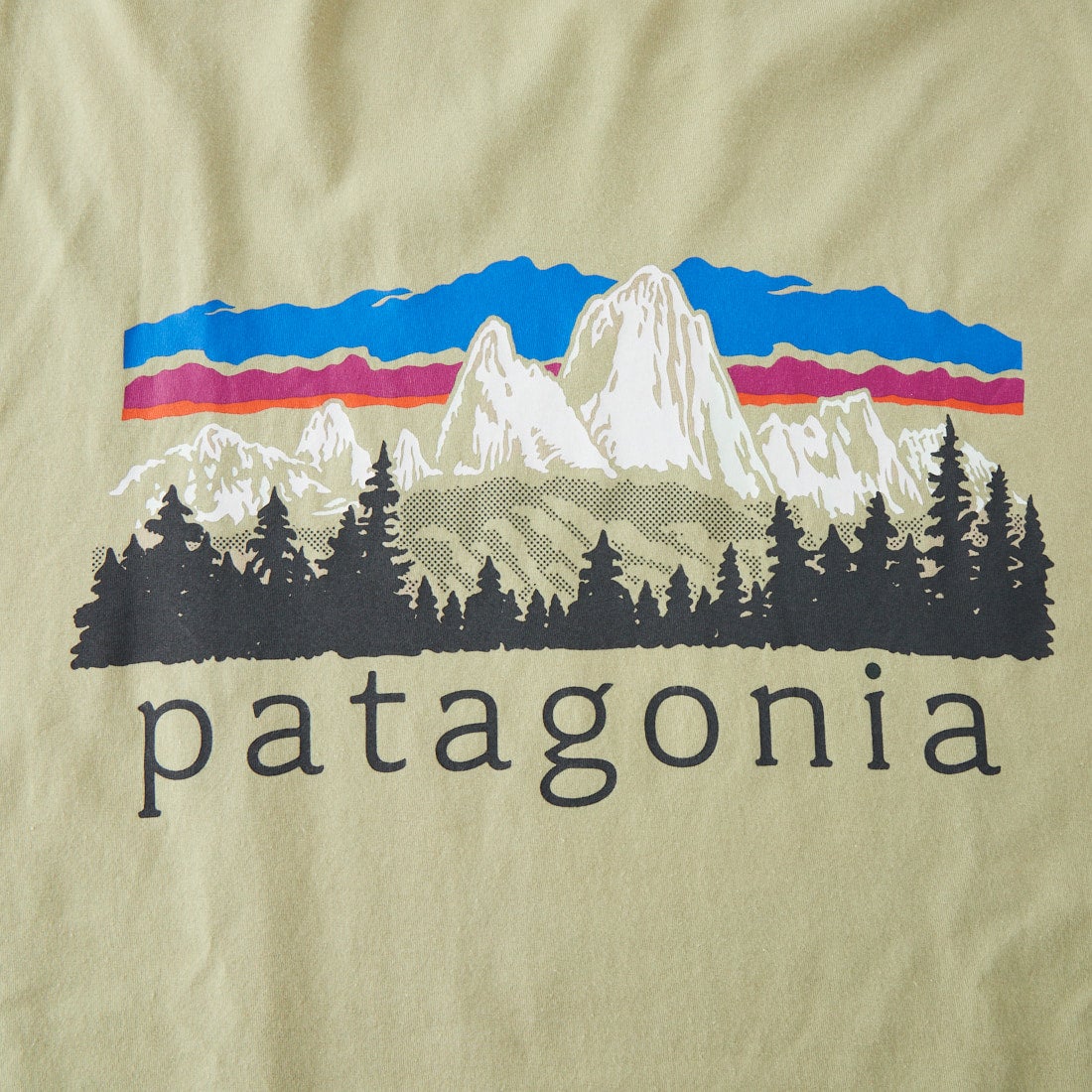 patagonia [パタゴニア] メンズ ロングスリーブ フィッツロイ フットヒルズTシャツ [37893] WSTO