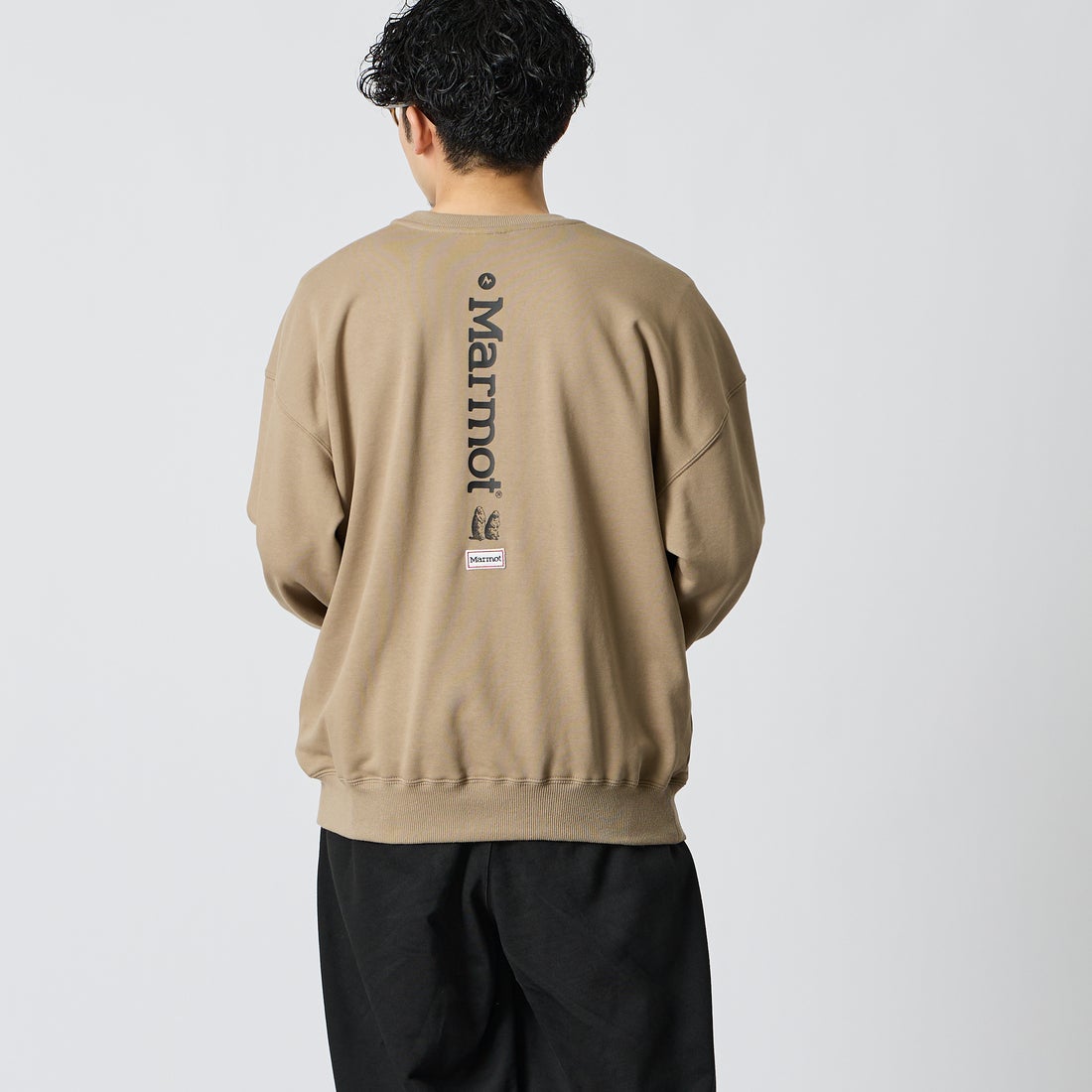 Marmot [マーモット] 別注 バーティカルロゴ バックプリントスウェット [MTFW26USW370IN-JF] BEIGE &&モデル身長：168cm 着用サイズ：M&&