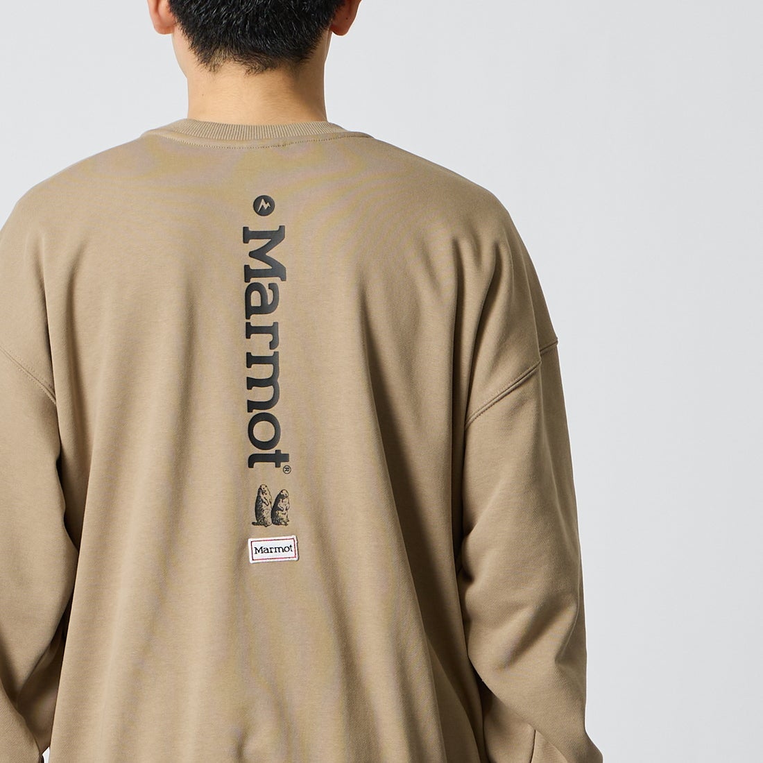 Marmot [マーモット] 別注 バーティカルロゴ バックプリントスウェット [MTFW26USW370IN-JF] BEIGE &&モデル身長：168cm 着用サイズ：M&&