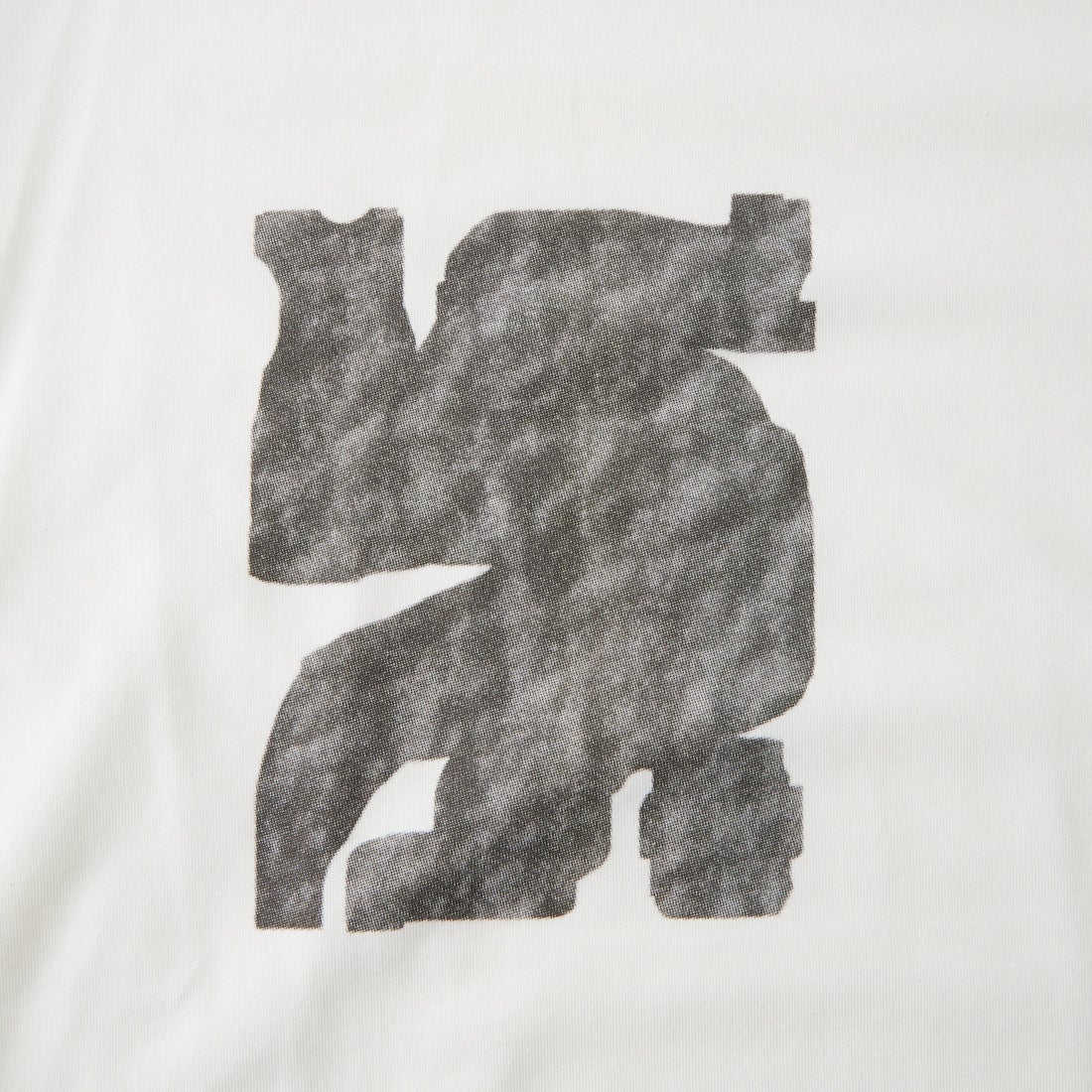 and wander [アンドワンダー] Greykjavik ショートスリーブTシャツ snow by Siggi Odds [5746284105] WHITE