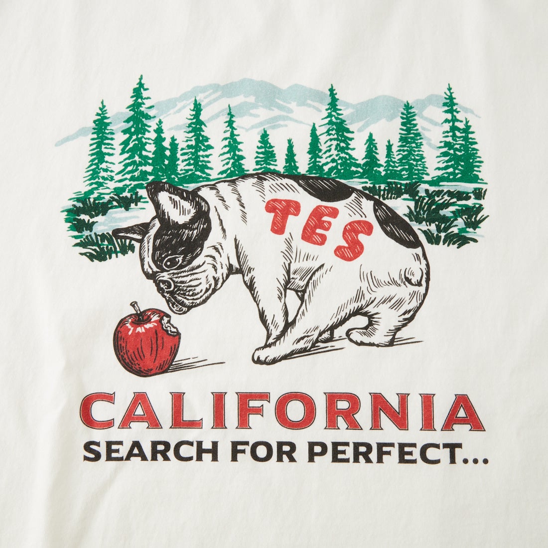 The Endless Summer [エンドレスサマー] CALIFORNIA FOREST ロングスリーブTシャツ [1280-26774313] 07 WHITE