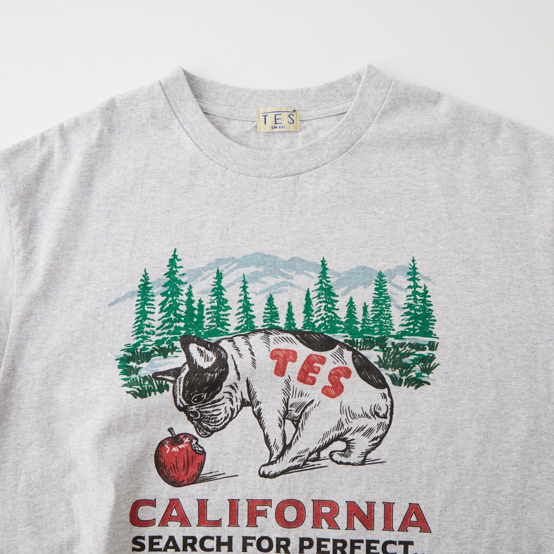 The Endless Summer [エンドレスサマー] CALIFORNIA FOREST ロングスリーブTシャツ [1280-26774313] 03 MIX GRY