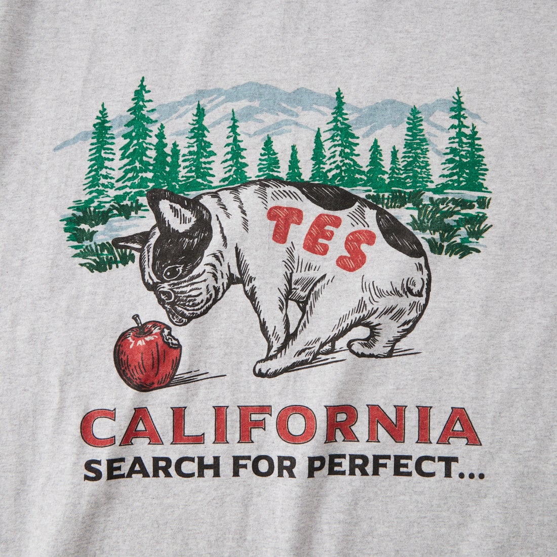 The Endless Summer [エンドレスサマー] CALIFORNIA FOREST ロングスリーブTシャツ [1280-26774313] 03 MIX GRY