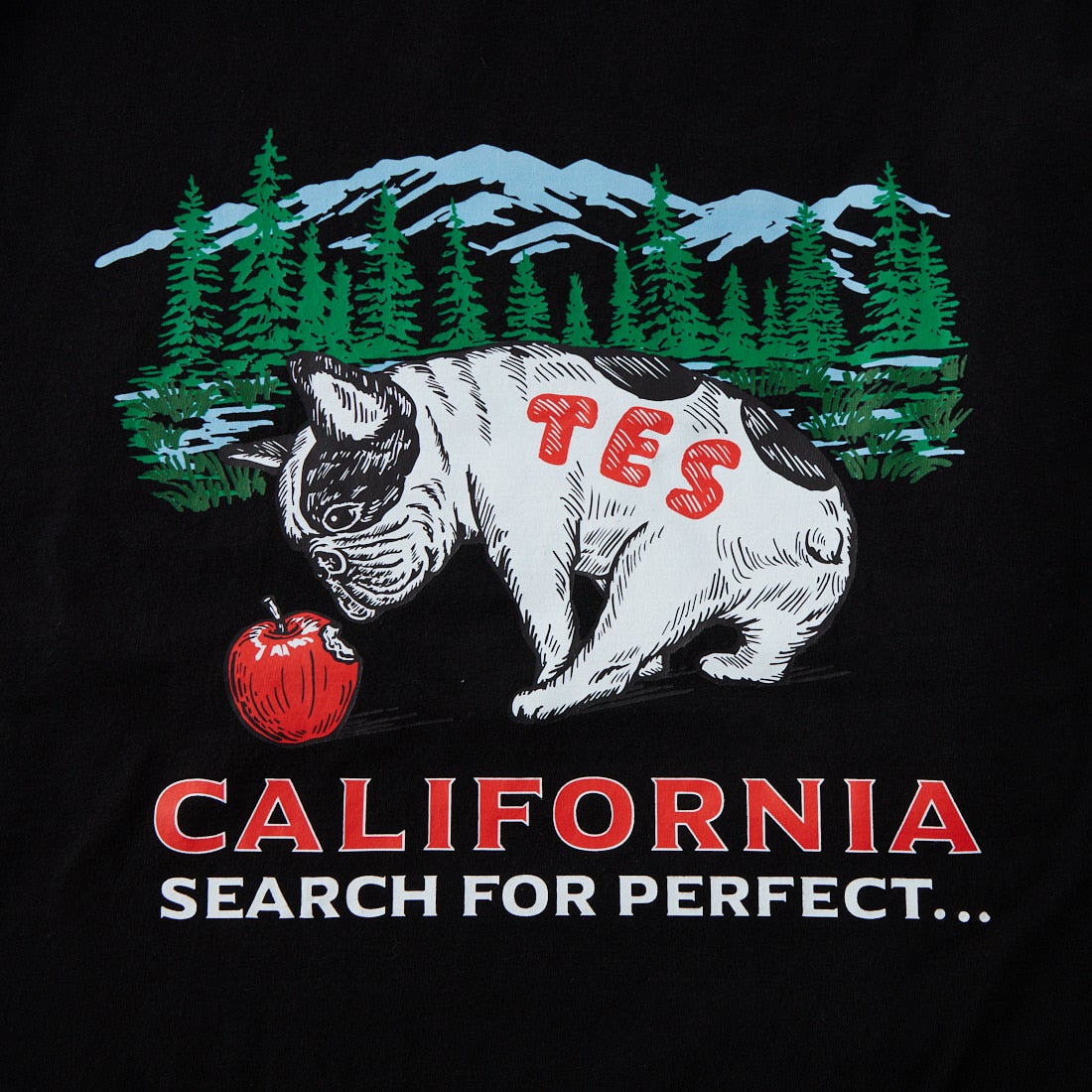 The Endless Summer [エンドレスサマー] CALIFORNIA FOREST ロングスリーブTシャツ [1280-26774313] 01 BLACK