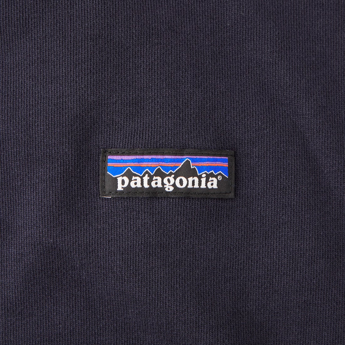 patagonia [パタゴニア] デイリー クルー [42172] SNBE